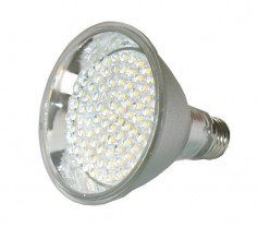 12VDC medium base LED bulb